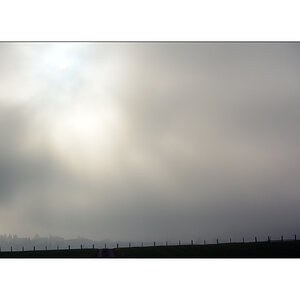 NebelDSC 6610