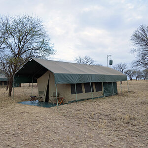 tansania serengeti view camp