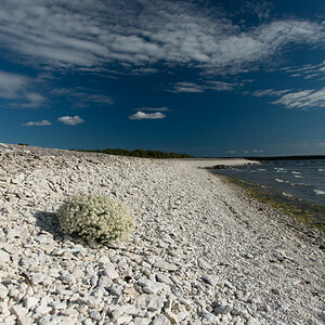 2016 Fotokalender gotland 9