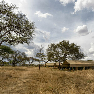 tansania kati kati camp
