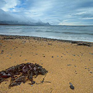 Búðir Strand Island 2015
