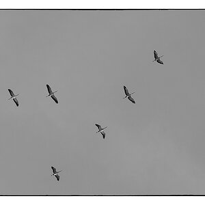 F011212c