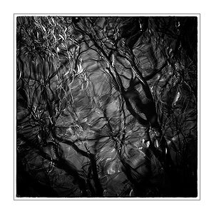 342/365