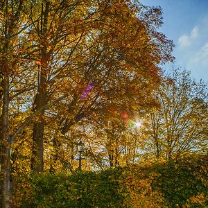 20151026 DSC02710