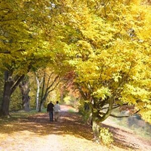 Herbst des Labens