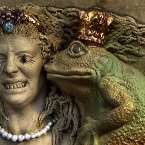 Frosch oder Fliege