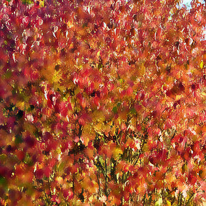 DSC 5148 Aquarell