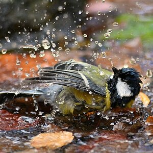 2015 18456