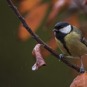 20151115  DSC0325