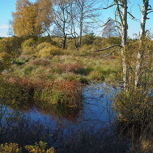 20151027 DSC02746