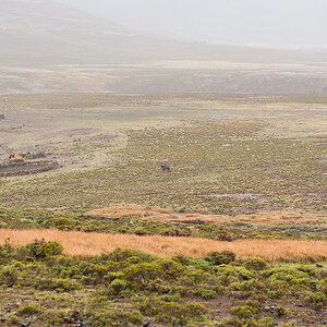 Drakensberge Lesotho 3