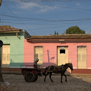 Pferdewagen in Trinidad
7940