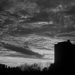 DSC 4060 02