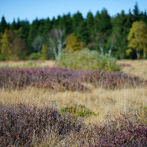 20151027 DSC02777
