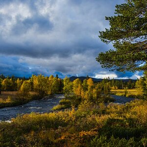Schweden Grövelsjön 2015