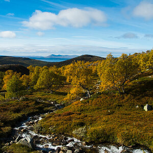 Schweden Femundsmarka