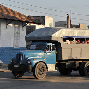 Bus in Camagüey
8667