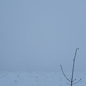 20160120 DSC03101