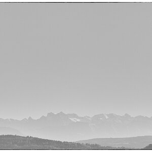 MittagDSC 6582