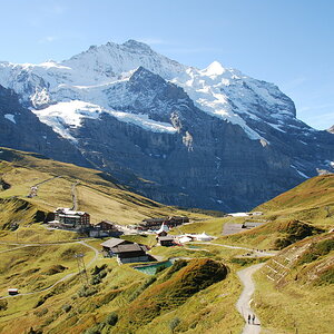 DSC 7299