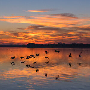Blankensee002