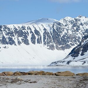 Spitzbergen 2015 SPE DSC8188