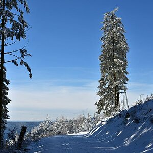 2016 02355