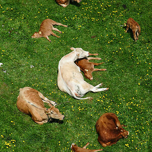 Natur 05 22.05.2005 10 57 3