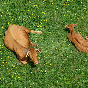 Natur 05 22.05.2005 10 58 0