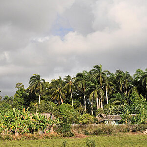 Bauernhof bei Baracoa
0627