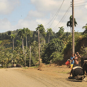 Ochsenschlitten bei Baracoa
0687a