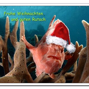 WeihnachtsKarte 2015 NF