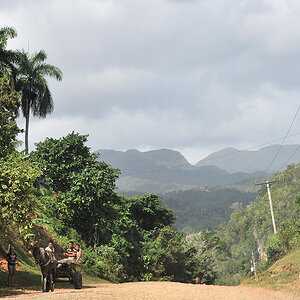 Pferdewagen bei Baracoa
0797