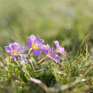 IMG7498 01