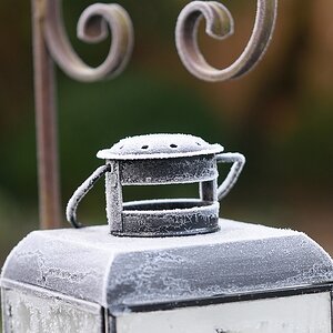 KR DSC 5841