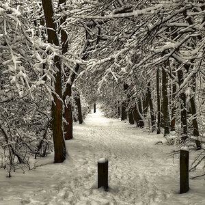 winterspaziergang 1