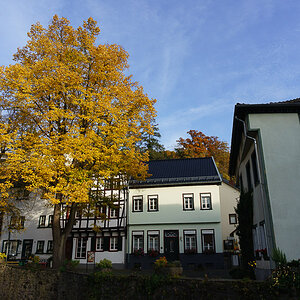 20151028 DSC02543