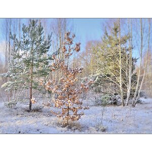 Winterlandschaft