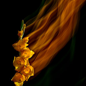 Blumen