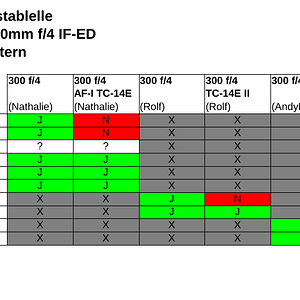 Nikkor AF S 300mm 4D IF ED TC-14 2016-02-16
Kompatibilitätstabelle