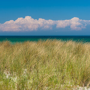 Gras und Meer