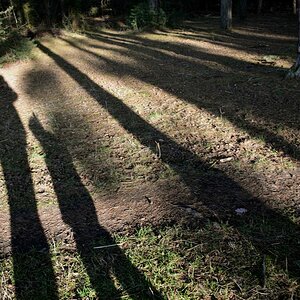 schatten