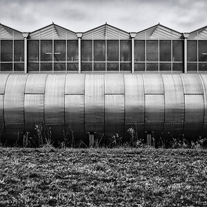 Landwirtschaft