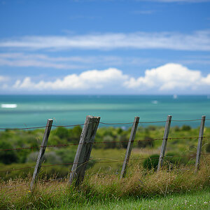 Kueste bei Paihia klein
