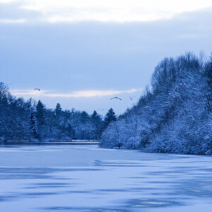2016 01 17 DSC 2406