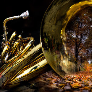 Tuba DSC7117 248 Wald