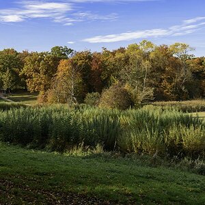 Jenischpark 2  F4Y3408