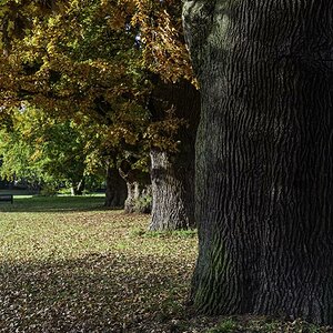Jenischpark 1  F4Y3415