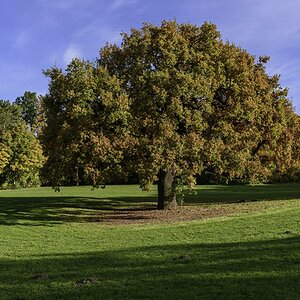 Jenischpark 4  F4Y3403