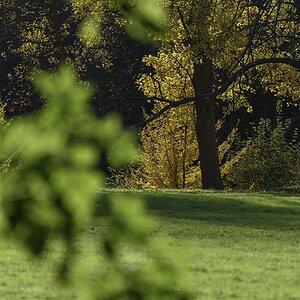 Jenischpark 7  F4Y3432
